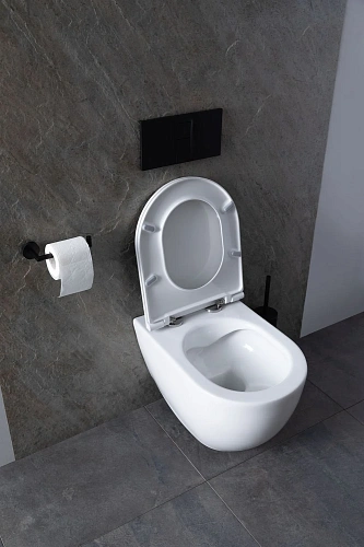 Комплект унитаза Allen Brau Reality 4.32006.20/8.9466.0.000.000.1 (00316510) с инсталляцией, белый глянец Комплект унитаза Allen Brau Reality 4.32006.20/8.9466.0.000.000.1 (00316510) с инсталляцией, белый глянец