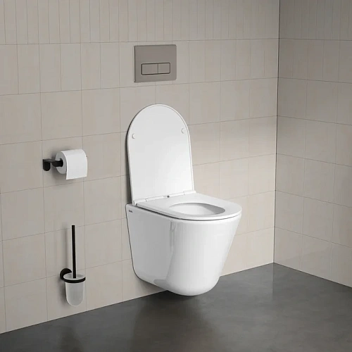 Унитаз подвесной IDDIS Ray (RAYRDSEi25) безободковый с сиденьем Унитаз подвесной IDDIS Ray (RAYRDSEi25) безободковый с сиденьем