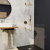 Картинка анонса товара «душевая система rgw shower panels sp-55g 51140855-06 встраиваемая»