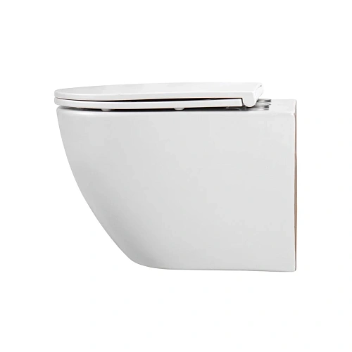 Унитаз подвесной Aquatek ЕВРОПА AQ1900T-00, 490x360x320 мм, смыв TORNADO тонкое сиденье микролифт Унитаз подвесной Aquatek ЕВРОПА AQ1900T-00, 490x360x320 мм, смыв TORNADO тонкое сиденье микролифт