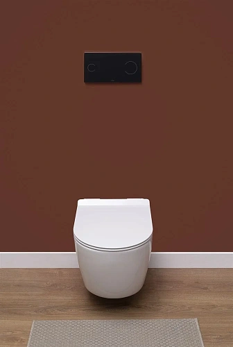 Унитаз подвесной Aquanet Rimless Cetus-W BL-102N-WHT CETUS-W с сиденьем Унитаз подвесной Aquanet Rimless Cetus-W BL-102N-WHT CETUS-W с сиденьем