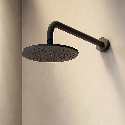 Верхний душ AM.PM Gem F0590022 220 мм, черный Верхний душ AM.PM Gem F0590022 220 мм, черный