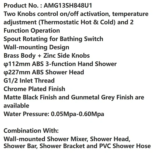 Душевая система ARROW AMG13SH848U1 с термостатом хром Душевая система ARROW AMG13SH848U1 с термостатом хром