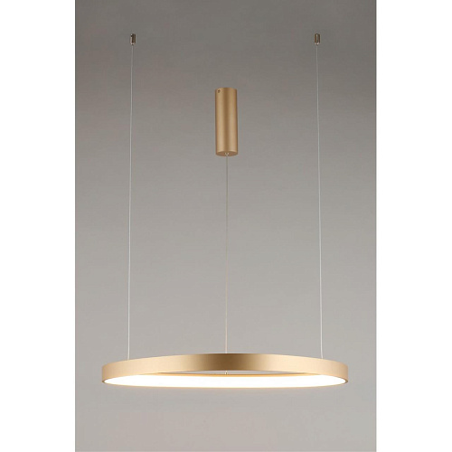 Люстра подвесная Aployt Zula APL.022.03.48 Люстра подвесная Aployt Zula APL.022.03.48