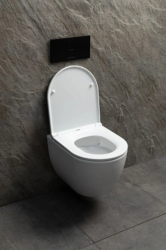 Унитаз подвесной Allen Brau Priority Tornado 4.31008.20 с крышкой, белый глянец Унитаз подвесной Allen Brau Priority Tornado 4.31008.20 с крышкой, белый глянец