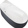 Акриловая ванна Allen Brau Priority 170x80 2.31002.20/AM белый глянец (панель антрацит) Акриловая ванна Allen Brau Priority 170x80 2.31002.20/AM белый глянец (панель антрацит)
