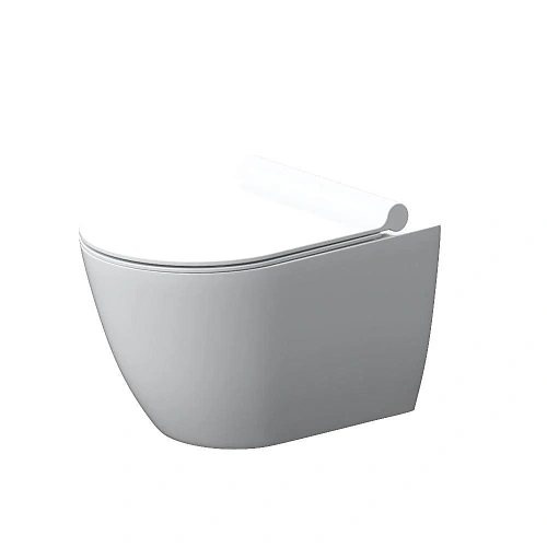 Унитаз подвесной Damixa Apollo DX22C1700SC безободковый с сиденьем микролифт Унитаз подвесной Damixa Apollo DX22C1700SC безободковый с сиденьем микролифт