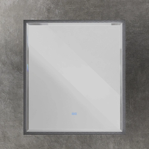 Зеркало CEZARES INTERNI с подсветкой сенсорным выключателем и подогревом CZR-SPC-INT-1000-900-LED-TCH-WARM-TIT 1000x900 Титан Зеркало CEZARES INTERNI с подсветкой сенсорным выключателем и подогревом CZR-SPC-INT-1000-900-LED-TCH-WARM-TIT 1000x900 Титан