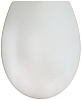 Картинка анонса товара «крышка-сиденье am.pm bliss c557851wh с микролифтом»