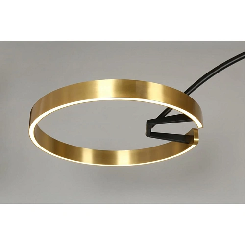 Люстра подвесная Aployt Leonn APL.653.15.30 Люстра подвесная Aployt Leonn APL.653.15.30