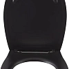 Крышка-сиденье Allen Brau Fantasy Smartfix, Soft-Close 4.11005.31 черный Крышка-сиденье Allen Brau Fantasy Smartfix, Soft-Close 4.11005.31 черный