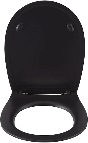Крышка-сиденье Allen Brau Fantasy Smartfix, Soft-Close 4.11005.31 черный Крышка-сиденье Allen Brau Fantasy Smartfix, Soft-Close 4.11005.31 черный