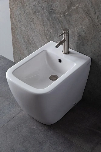 Биде напольное Allen Brau Infinity 4.21005.20 Биде напольное Allen Brau Infinity 4.21005.20
