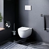 Комплект инсталляции AM.PM Awe IS47001.111700 с унитазом FlashСlean, сиденьем микролифт и клавишей черный Комплект инсталляции AM.PM Awe IS47001.111700 с унитазом FlashСlean, сиденьем микролифт и клавишей черный
