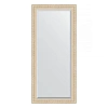 Зеркало в багетной раме Evoform Exclusive BY 1302 75 x 165 см, старый гипс Зеркало в багетной раме Evoform Exclusive BY 1302 75 x 165 см, старый гипс