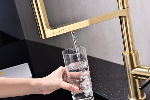 Смеситель для кухни Paulmark TORNADO светлое золото To213402-LG Смеситель для кухни Paulmark TORNADO светлое золото To213402-LG