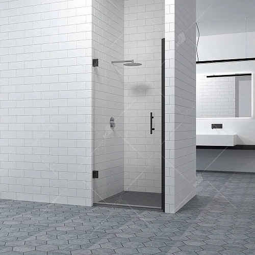 Душевая дверь RGW HO-011B Hotel 160601107-24 Душевая дверь RGW HO-011B Hotel 160601107-24