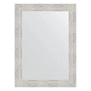 Зеркало в багетной раме Evoform Definite BY 3048 56 x 76 см, серебряный дождь Зеркало в багетной раме Evoform Definite BY 3048 56 x 76 см, серебряный дождь