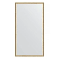 Зеркало в багетной раме Evoform Definite BY 0743 68 x 128 см, витое золото Зеркало в багетной раме Evoform Definite BY 0743 68 x 128 см, витое золото