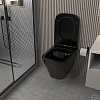 Унитаз подвесной ABBER Rechteck AC1201MB черный матовый, безободковый с крышкой микролифт Унитаз подвесной ABBER Rechteck AC1201MB черный матовый, безободковый с крышкой микролифт