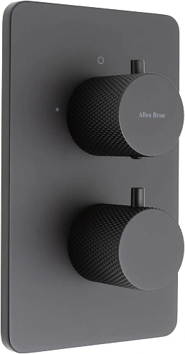 Смеситель для ванны Allen Brau Priority 5.3U123-31 (с внутренней частью, 3 выхода) черный матовый Смеситель для ванны Allen Brau Priority 5.3U123-31 (с внутренней частью, 3 выхода) черный матовый