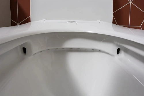 Чаша напольного унитаза Aquanet Rimless Cetus 2.0 C1 LX-2903 с сиденьем Чаша напольного унитаза Aquanet Rimless Cetus 2.0 C1 LX-2903 с сиденьем