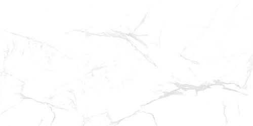 Керамогранит NT Ceramic Marmo NTT99607M 60x120 Керамогранит NT Ceramic Marmo NTT99607M 60x120