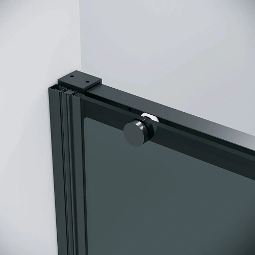 Душевая дверь GROSSMAN Galaxy 100.K33.01.120.21.10 (120x195) черный матовый, стекло тонированное Душевая дверь GROSSMAN Galaxy 100.K33.01.120.21.10 (120x195) черный матовый, стекло тонированное