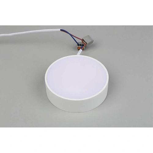 Светильник настенно-потолочный Aployt Evon APL.0114.09.12 Светильник настенно-потолочный Aployt Evon APL.0114.09.12