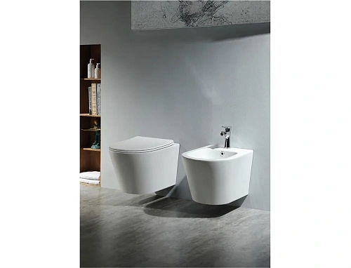 Унитаз подвесной Aquatek ВЕГА AQ1905-00 525x360x320 безободковый, тонкое сиденье Soft Close Унитаз подвесной Aquatek ВЕГА AQ1905-00 525x360x320 безободковый, тонкое сиденье Soft Close