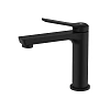 Смеситель для раковины IDDIS Parker (PARBL00i01) матовый черный