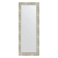 Зеркало в багетной раме Evoform Exclusive BY 1159 51 x 131 см, алюминий Зеркало в багетной раме Evoform Exclusive BY 1159 51 x 131 см, алюминий