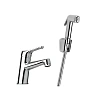 Смеситель для раковины Paini Bios 05CR205/574 с гигиеническим душем
