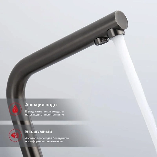 Смеситель для кухни Raglo R81.61.09 с подключением к фильтру, графит Смеситель для кухни Raglo R81.61.09 с подключением к фильтру, графит