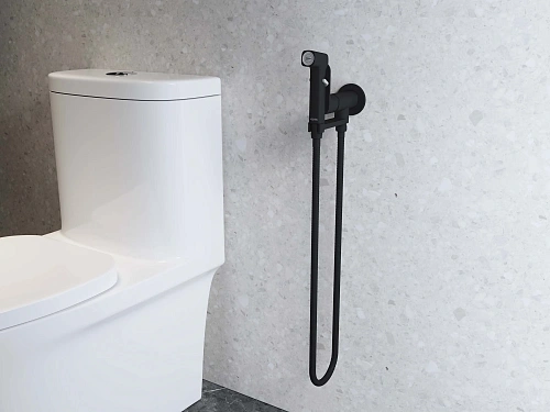 Гигиенический душ Aquatek АЛЬФА AQ1919MB матовый черный Гигиенический душ Aquatek АЛЬФА AQ1919MB матовый черный