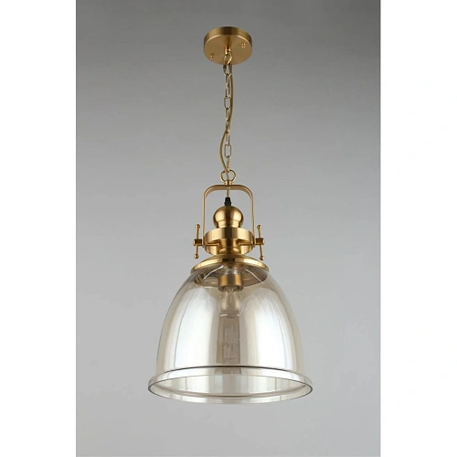 Светильник подвесной Aployt Darunia APL.629.16.01 Светильник подвесной Aployt Darunia APL.629.16.01