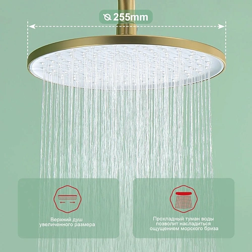 Душевая система Raglo R03.24.03, золотой сатин Душевая система Raglo R03.24.03, золотой сатин