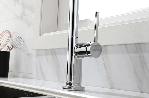 Смеситель для кухни Paulmark Neo хром Ne214419-CR Смеситель для кухни Paulmark Neo хром Ne214419-CR