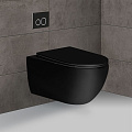 Унитаз подвесной Vincea Evo VT1-34MB безободковый, матовый черный, ультратонкое soft-close сиденье Унитаз подвесной Vincea Evo VT1-34MB безободковый, матовый черный, ультратонкое soft-close сиденье
