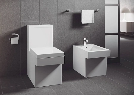 Крышка-сиденье GROHE Cube Ceramic, быстросъемное с микролифтом, альпин-белый (39488000) Крышка-сиденье GROHE Cube Ceramic, быстросъемное с микролифтом, альпин-белый (39488000)