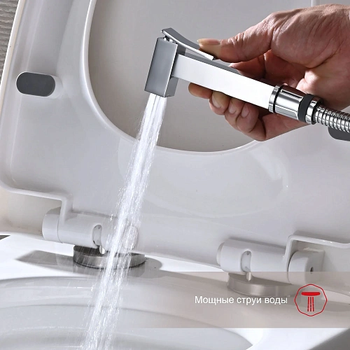 Гигиенический душ Raglo R01.52 встраиваемый, хром Гигиенический душ Raglo R01.52 встраиваемый, хром