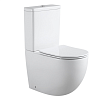 Унитаз напольный Aquanet Rimless Cetus 2.0 C1 LX-2903 с бачком 00257419 с сиденьем