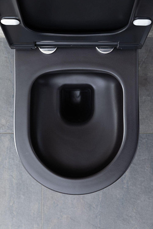 Унитаз подвесной Allen Brau Priority 4.31001.31 с крышкой, черный матовый
