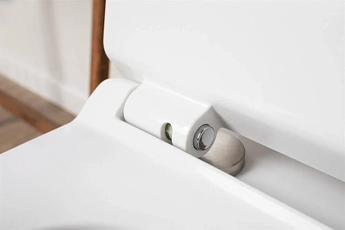 Чаша напольного унитаза Aquanet Rimless Logic-C CL-12339 с сиденьем Чаша напольного унитаза Aquanet Rimless Logic-C CL-12339 с сиденьем