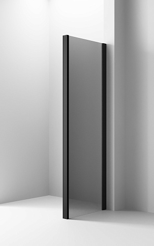 Боковая стенка Ambassador Intense 110IBB (1100x2000) Боковая стенка Ambassador Intense 110IBB (1100x2000)