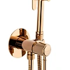 Гигиенический душ Wonzon & Woghand TOR розовое золото (WW-88829073-RG) Гигиенический душ Wonzon & Woghand TOR розовое золото (WW-88829073-RG)