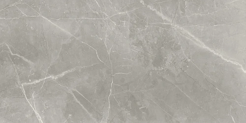 Керамогранит Neodom Supreme Fior Di Bosco Polished 60x120 N70005 Керамогранит Neodom Supreme Fior Di Bosco Polished 60x120 N70005