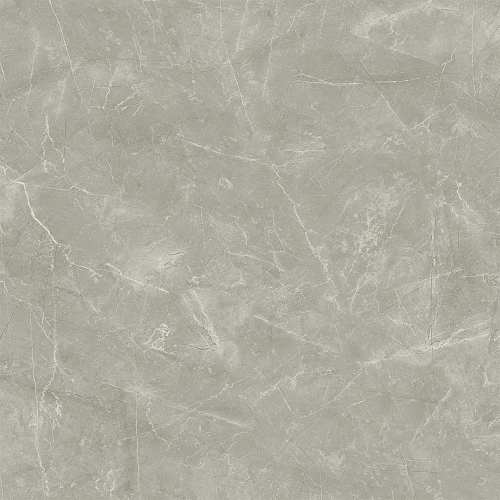 Керамогранит Laparet Wolf Grey 80x80 х9999289550 Керамогранит Laparet Wolf Grey 80x80 х9999289550
