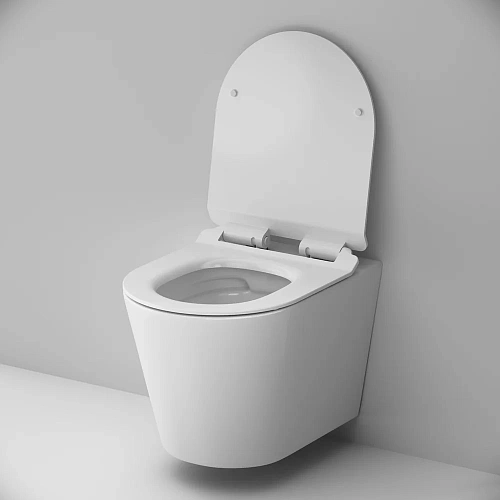 Унитаз подвесной AM.PM Sunny C85C1701SC Flashclean с сиденьем микролифт Унитаз подвесной AM.PM Sunny C85C1701SC Flashclean с сиденьем микролифт