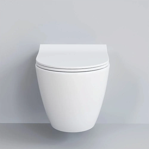 Крышка-сиденье Ambassador Queen 112T20001S (тонкое) белое Крышка-сиденье Ambassador Queen 112T20001S (тонкое) белое